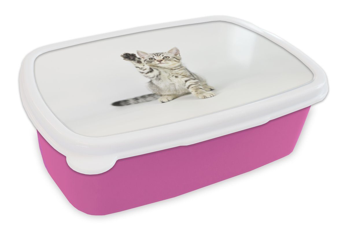 MuchoWow Lunchbox Kätzchen - Pfote - Weiß - Mädchen - Kinder - Jungen - Kind, Kunststoff, (2-tlg), Brotbox für Erwachsene, Brotdose Kinder, Snackbox, Mädchen, Kunststoff rosa