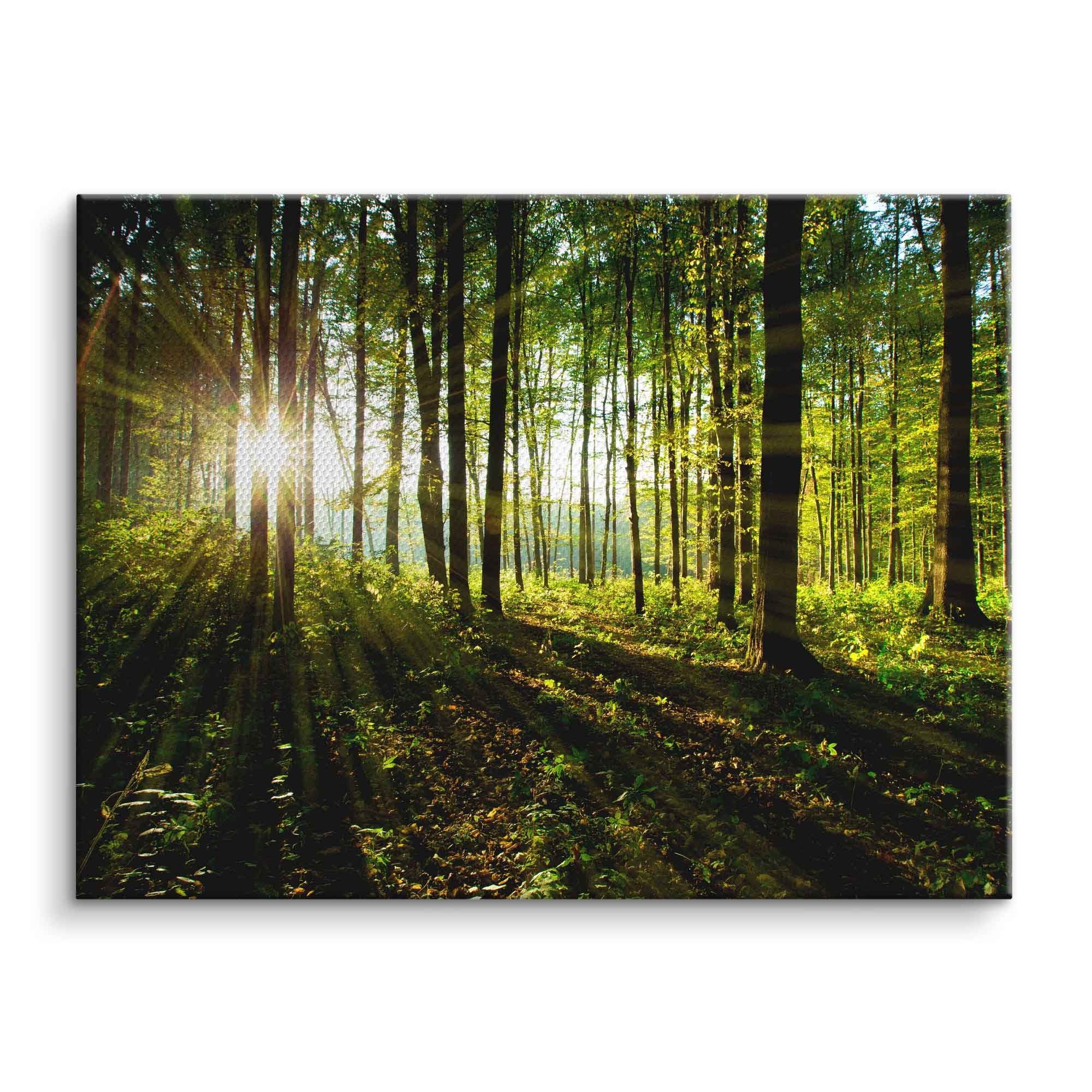 Wald Bild Leinwand: The Ultimate Guide to Unlocking Your Artistic Potential