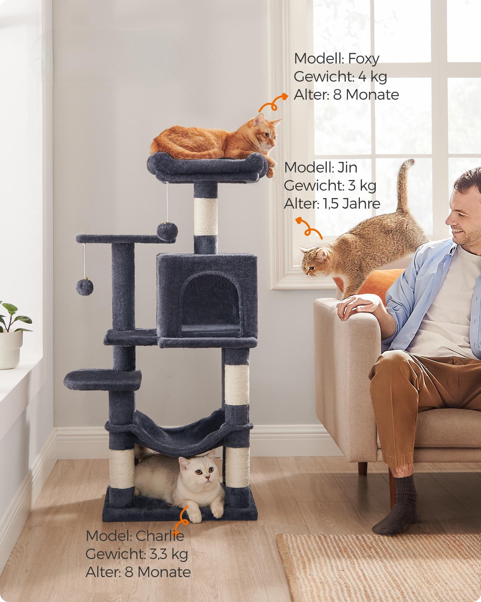 FEANDREA Kratzbaum, Katzenbaum, mit Hängematte und günstig online kaufen