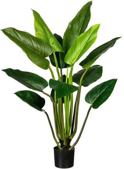 Künstliche Zimmerpflanze Philodendron Philodendron, Creativ green, Höhe 130 cm
