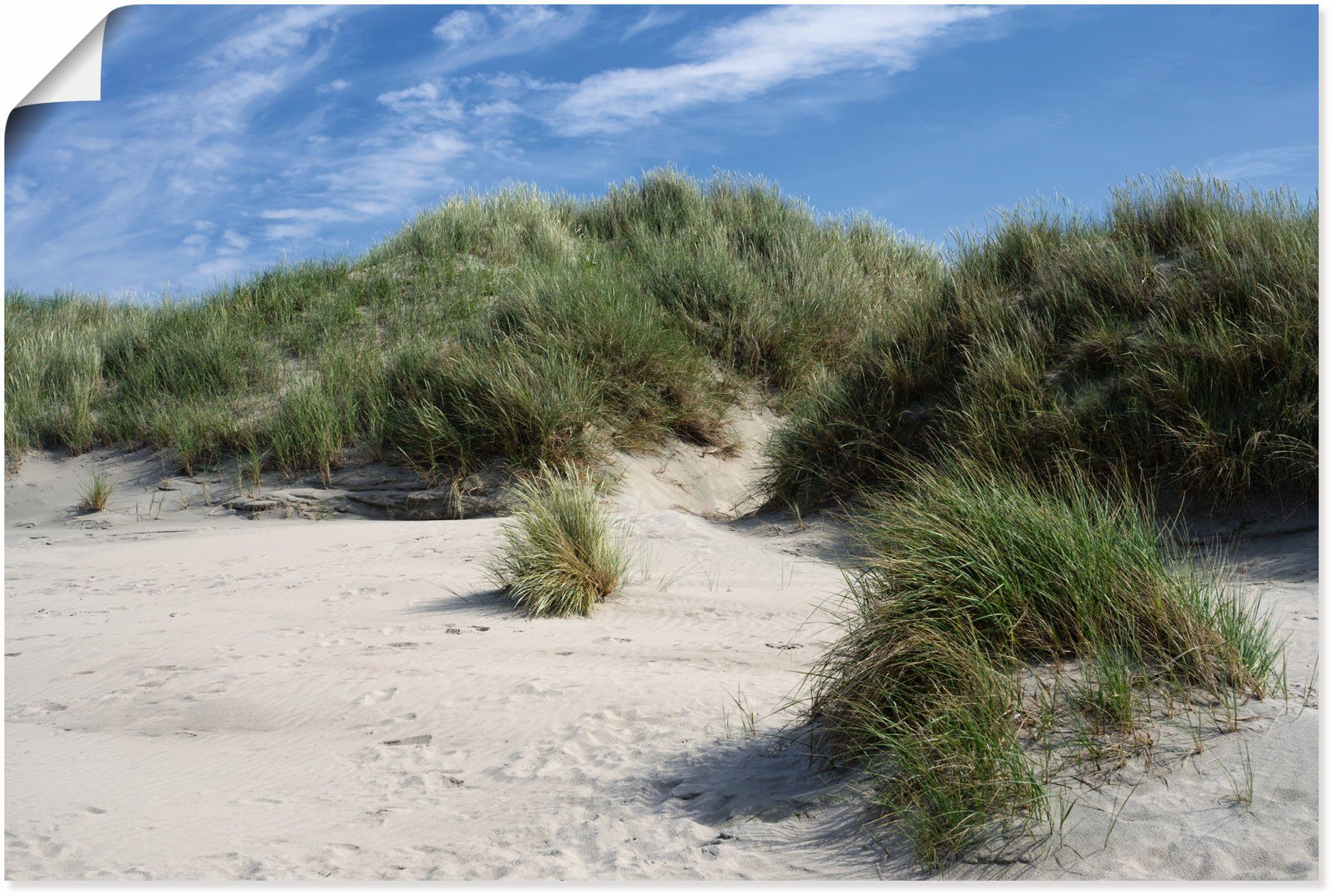 Artland Wandbild Dünenlandschaft auf Baltrum, Strandbilder (1 St), als Alubild, Leinwandbild, Wandaufkleber oder Poster in versch. Größen | Poster