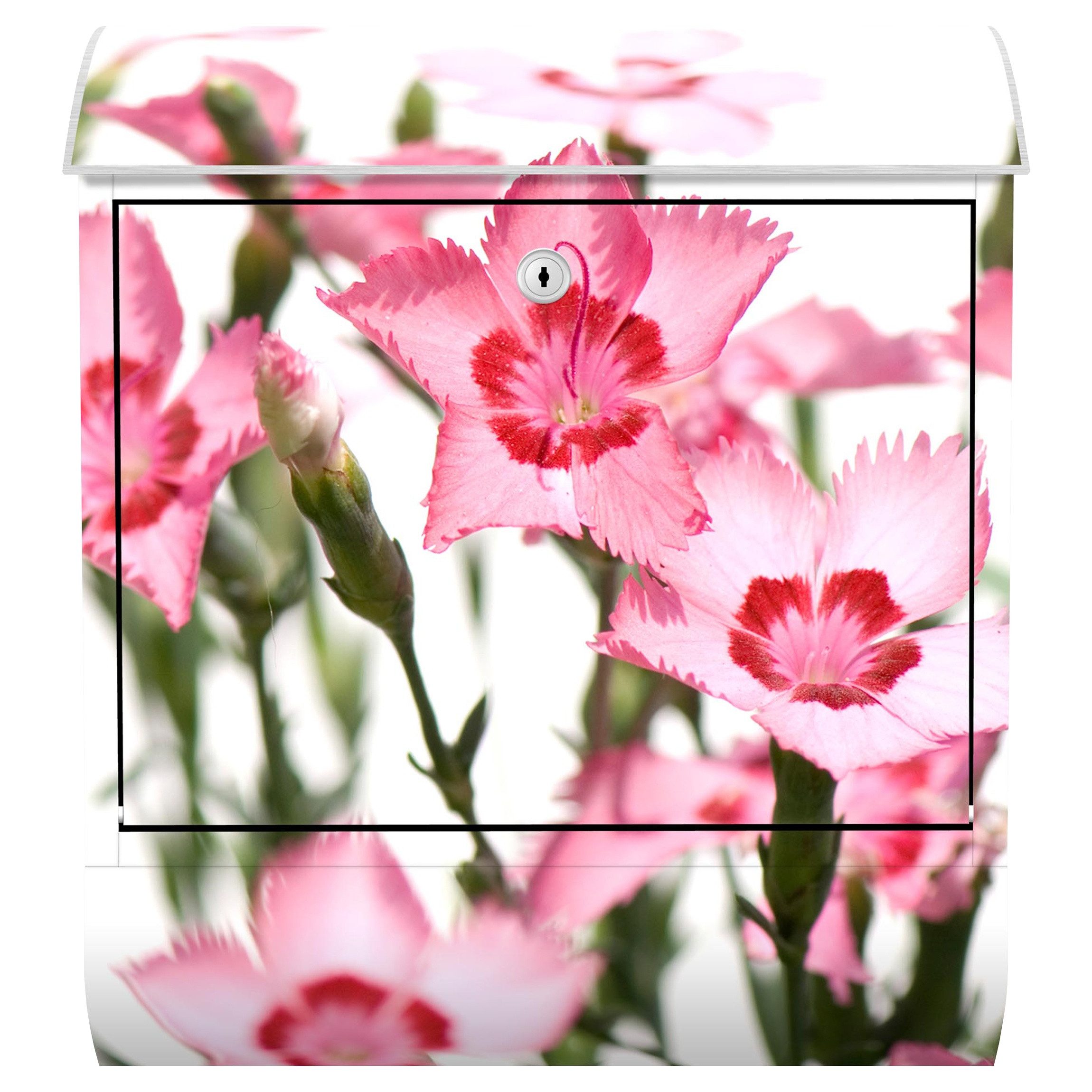 Bilderdepot24 Briefkasten Wandbriefkasten mit Zeitungsfach Motiv Pinkfarbene Blüten (inkl. Zeitungsrolle und 3 Schlüssel), Motivdruck, wetterfest, UV-beständig, abschließbar, 46x39x13 cm