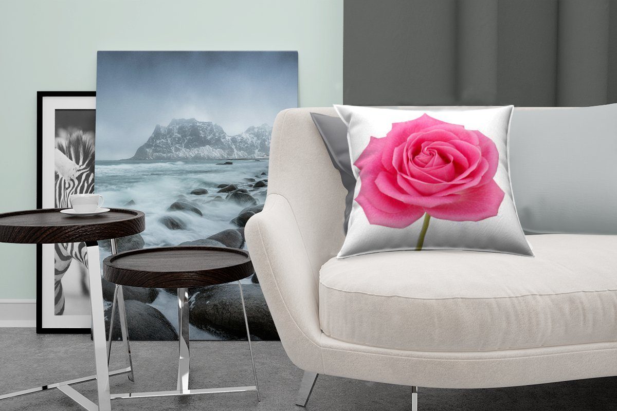 Sofakissen Zierkissen Deko, MuchoWow Wohzimmer, Füllung Nahaufnahme Hintergrund, Schlafzimmer, rosa auf für einzelnen Dekokissen mit weißem Rose einer