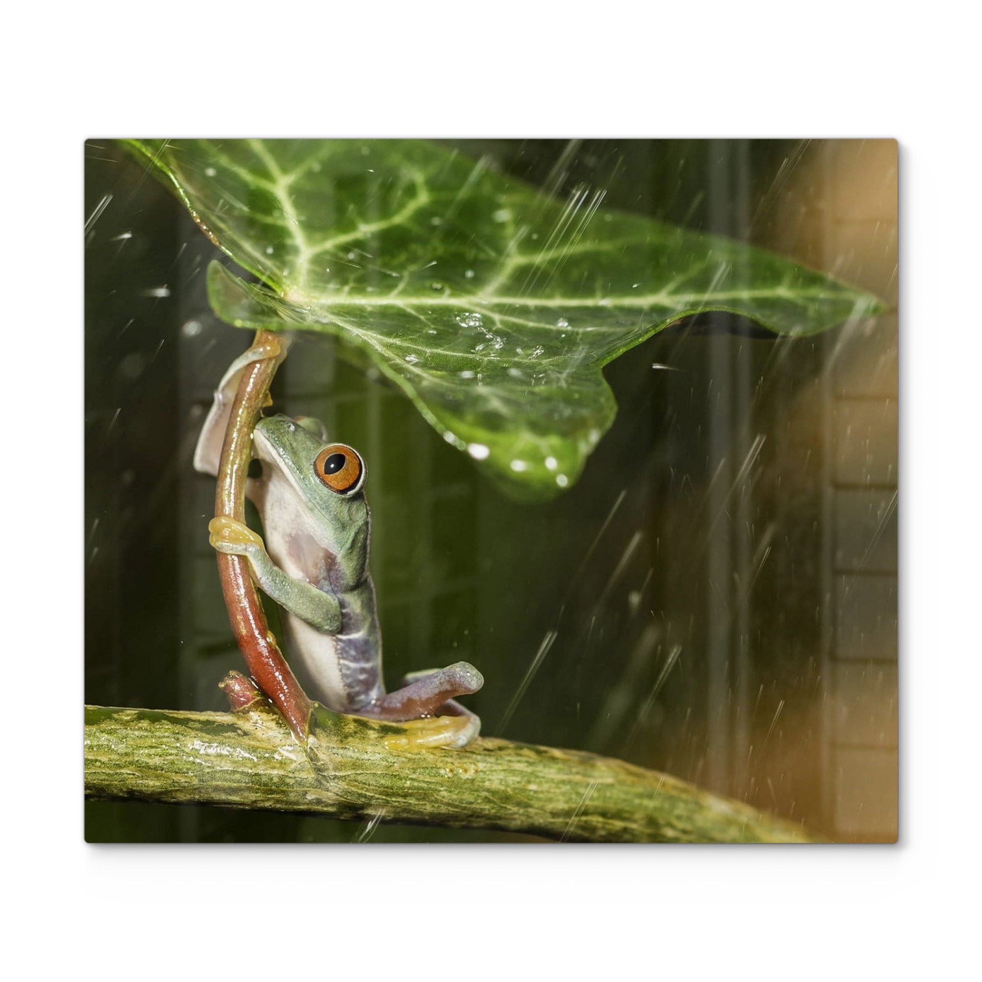 DEQORI Herdblende-/Abdeckplatte 'Regenwaldjuwel', Glas, (1 tlg), Herdabdeckplatte Ceranfeld Herd Platte Abdeckung Glasplatte