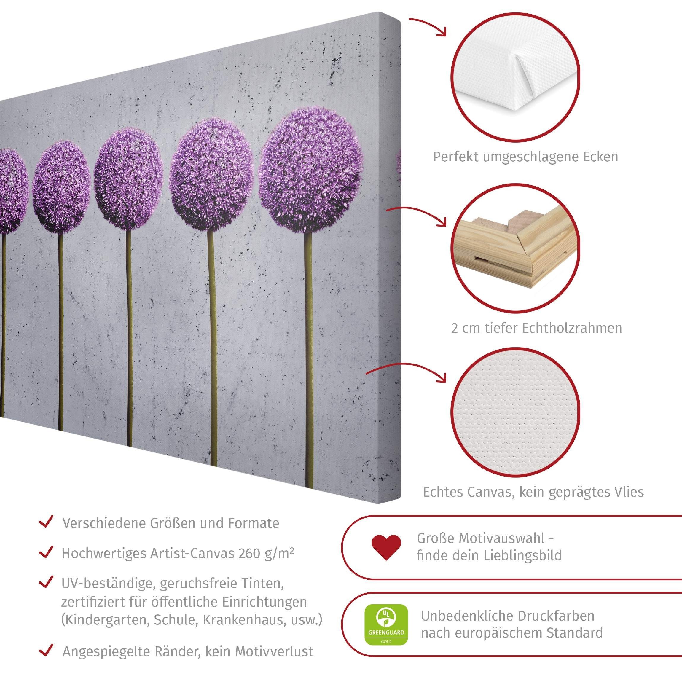 Bilderdepot24 Leinwandbild Blumen Modern Natur Allium Kugel-Blüten lila Bild auf Leinwand XXL, Wohnzimmer Schlafzimmer Küche Flur Wandbild Kunstdruck Wanddeko Druck