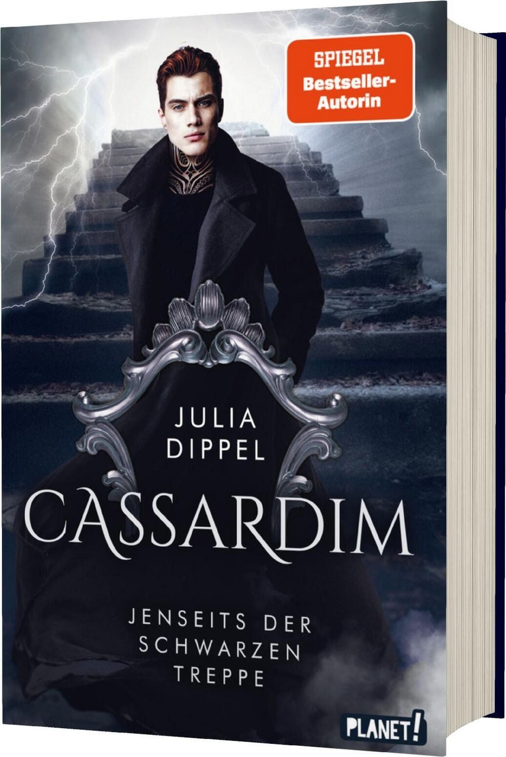 Jugendbuch Cassardim 2: Jenseits der Schwarzen Treppe Fantasy-Liebesroman für all Julia Dippel