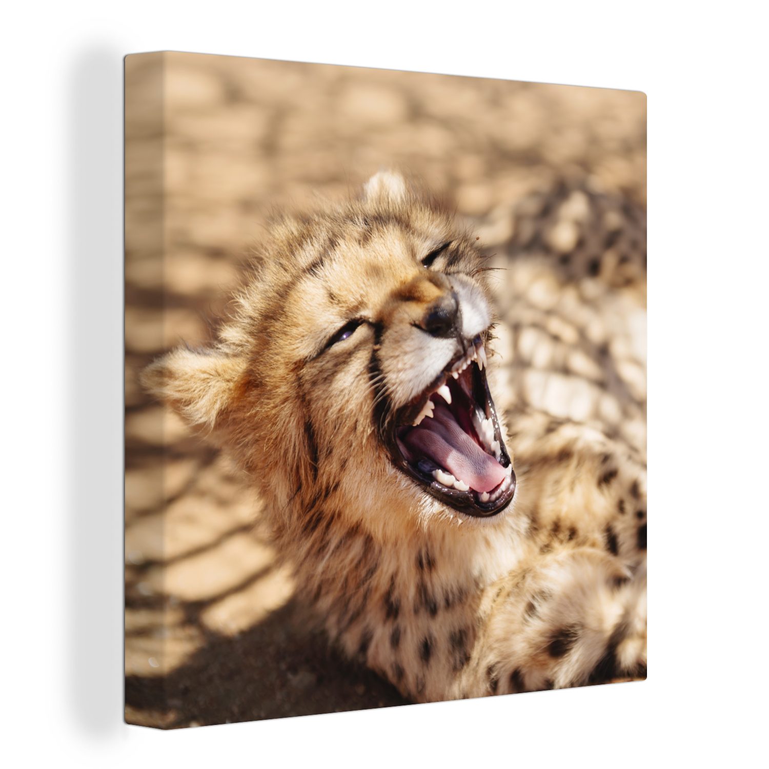 OneMillionCanvasses® Leinwandbild Gepard - Tier - Nahaufnahme, (1 St), Leinwand Bilder für Wohnzimmer Schlafzimmer