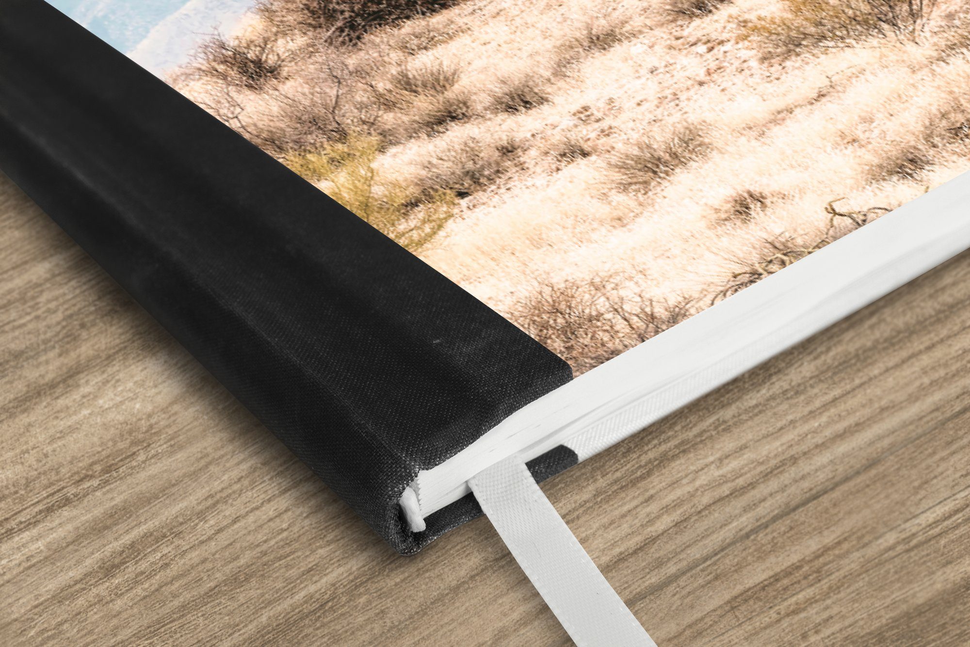 Thumbnail - MuchoWow Notizbuch Kakteen - Pflanzen - Natur - Sonne, Journal, Merkzettel, Tagebuch, Notizheft, A5, 98 Seiten, Haushalt...