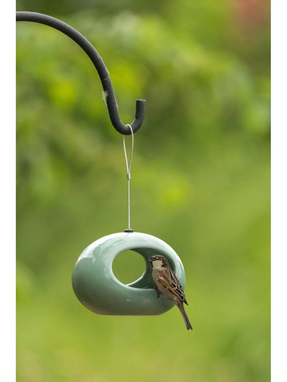 Vogelkäfig Wildlife Hängende Wasserschale Selo grün 12 x 16 x