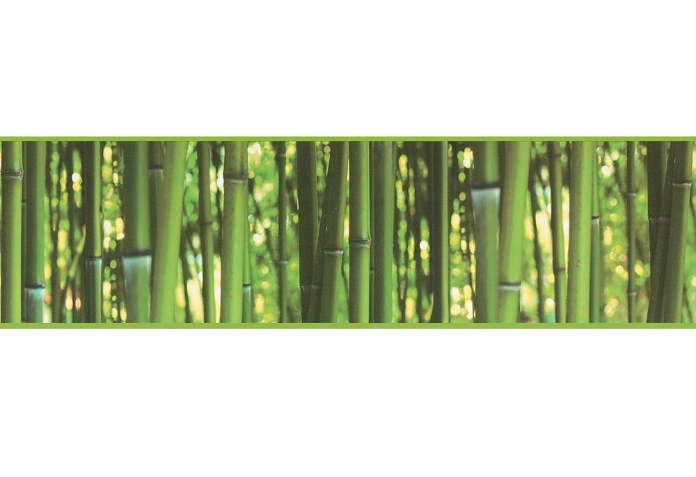 living walls Bordüre Stick Tapete glatt Wald, matt Bambus Ups, Bordüre Grün glatt, selbstklebend
