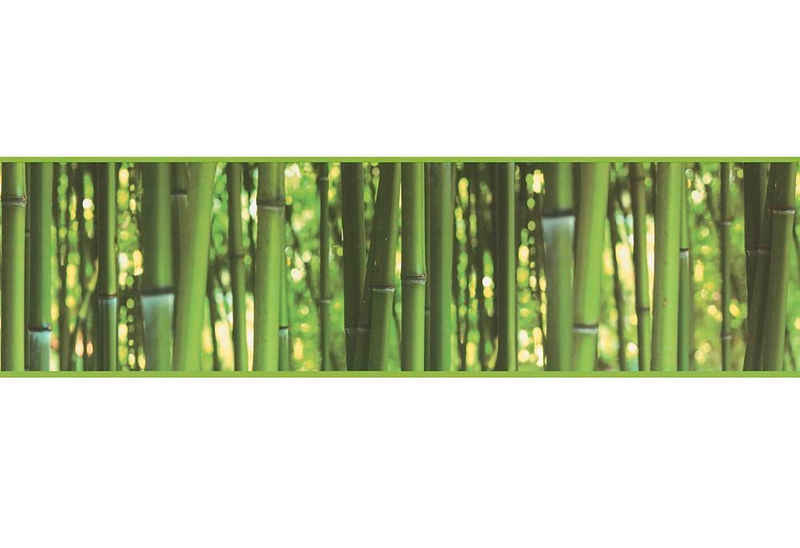 living walls Bordüre Stick Ups, glatt, Wald, Bordüre selbstklebend Tapete Grün matt Bambus glatt