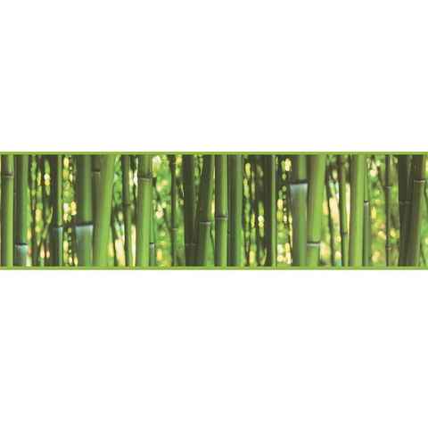 living walls Bordüre Stick Ups, glatt, Wald, Bordüre selbstklebend Tapete Grün matt Bambus glatt