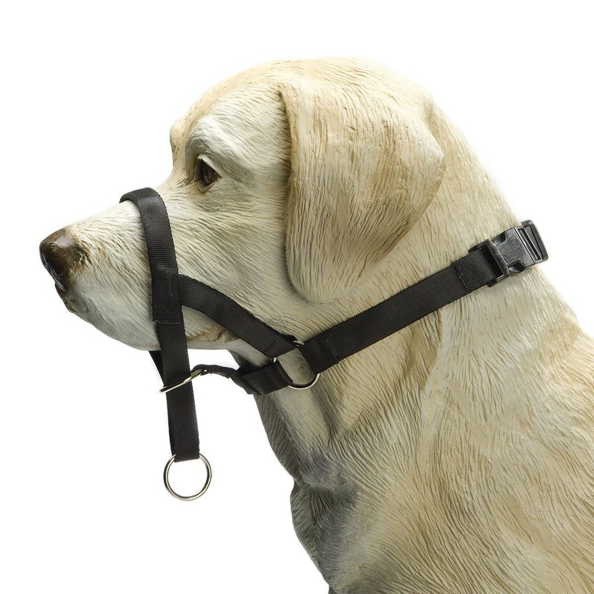 Beeztees Hunde-Erziehungsgeschirr Nasenband Dog Control schwarz günstig online kaufen