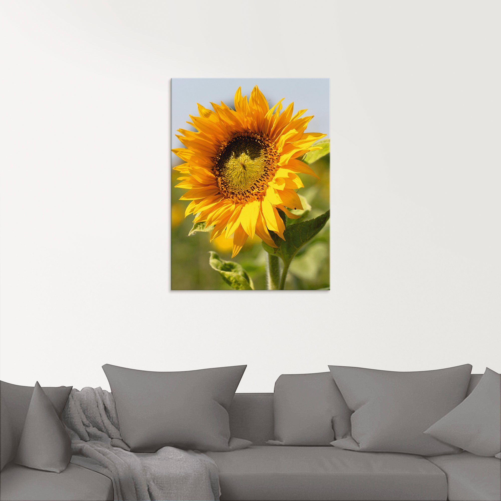 Artland Glasbild »Sonnenblume Nahaufnahme«, Blumen (1 Stück)-kaufen