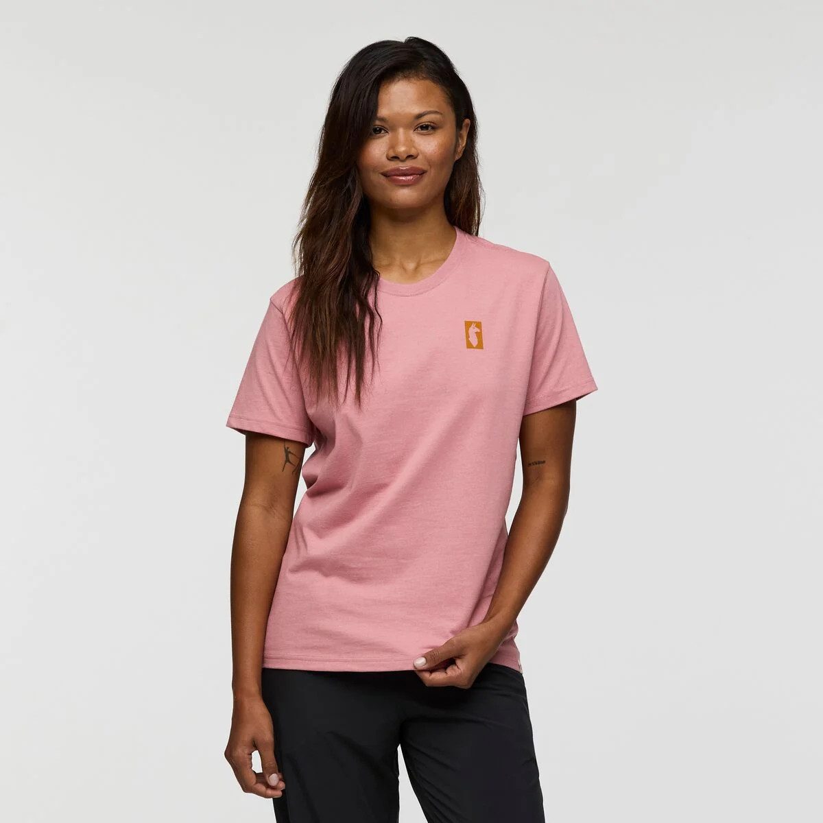 Cotopaxi T-Shirt Gear For Good Stripes T-Shirt Rose