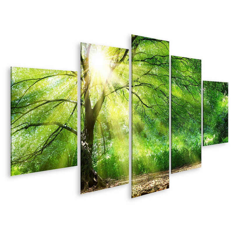 islandburner Leinwandbild Bild auf Leinwand Baum Mit Sonnenschein Im Wilden Wald Wandbild Leinw