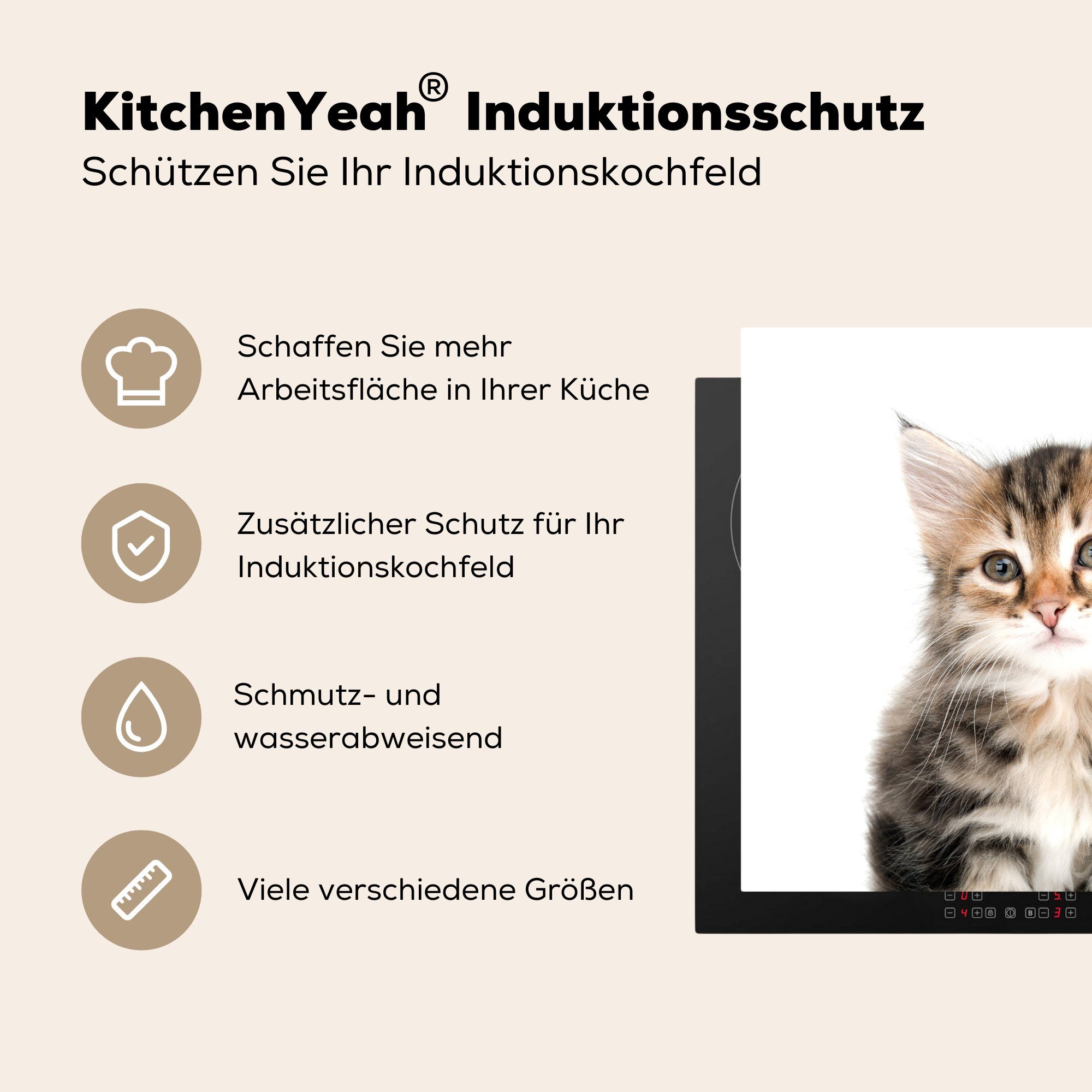 Kätzchen - Nase - Kinder Weiß (1 Ceranfeldabdeckung, 78x78 Herdblende-/Abdeckplatte MuchoWow cm, Kinder, Arbeitsplatte küche - tlg), Vinyl, Mädchen Jungen - - für -