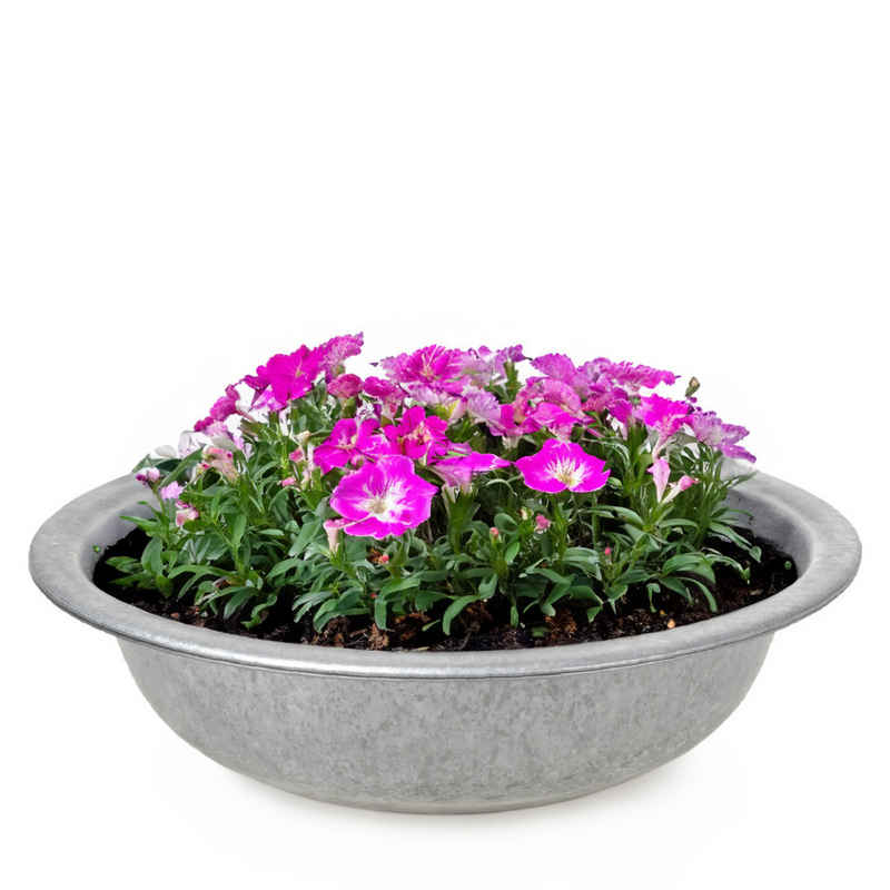 matches21 HOME & HOBBY Blumentopf Zinkwanne Zink-Schale als runde Pflanzschale Deko-Schale 35 x 9,5 cm (1 St), Metall-Schale als Garten Pflanzkübel Blumenschale für draußen