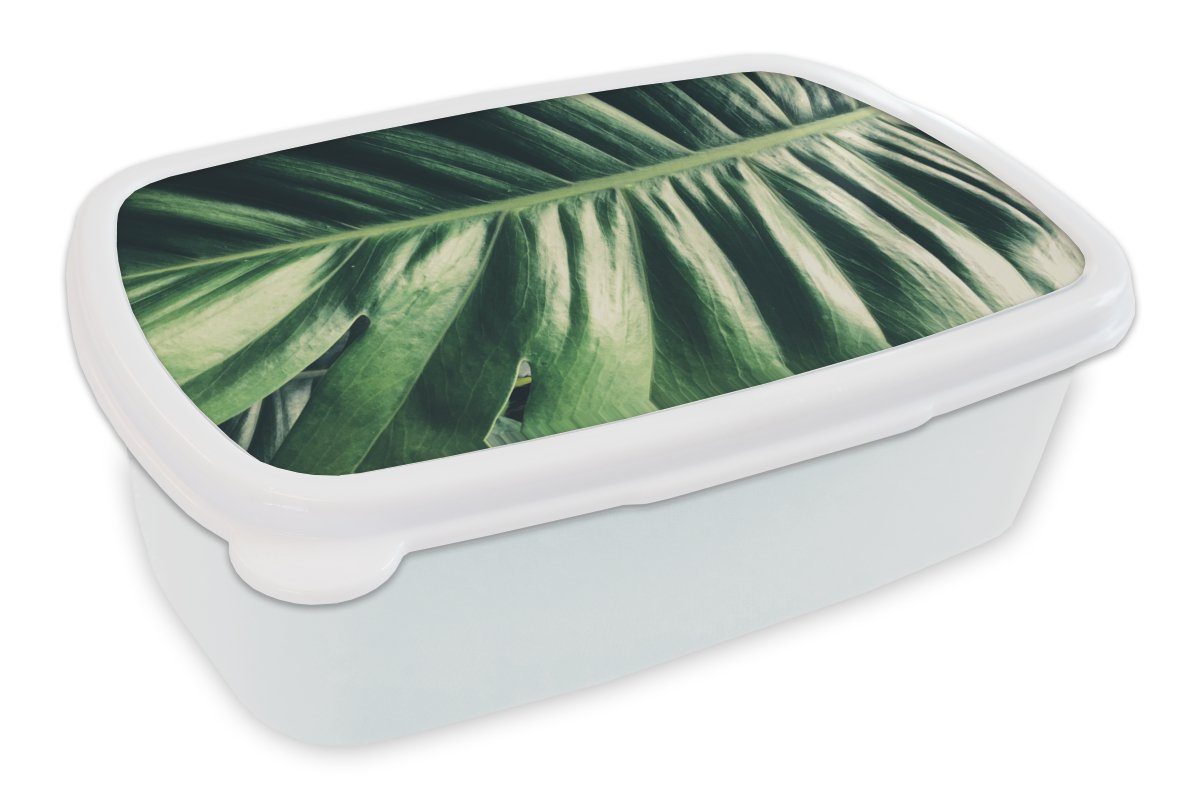MuchoWow Lunchbox Blätter - Tropisch - Dschungel, Kunststoff, (2-tlg), Brotbox für Kinder und Erwachsene, Brotdose, für Jungs und Mädchen weiß