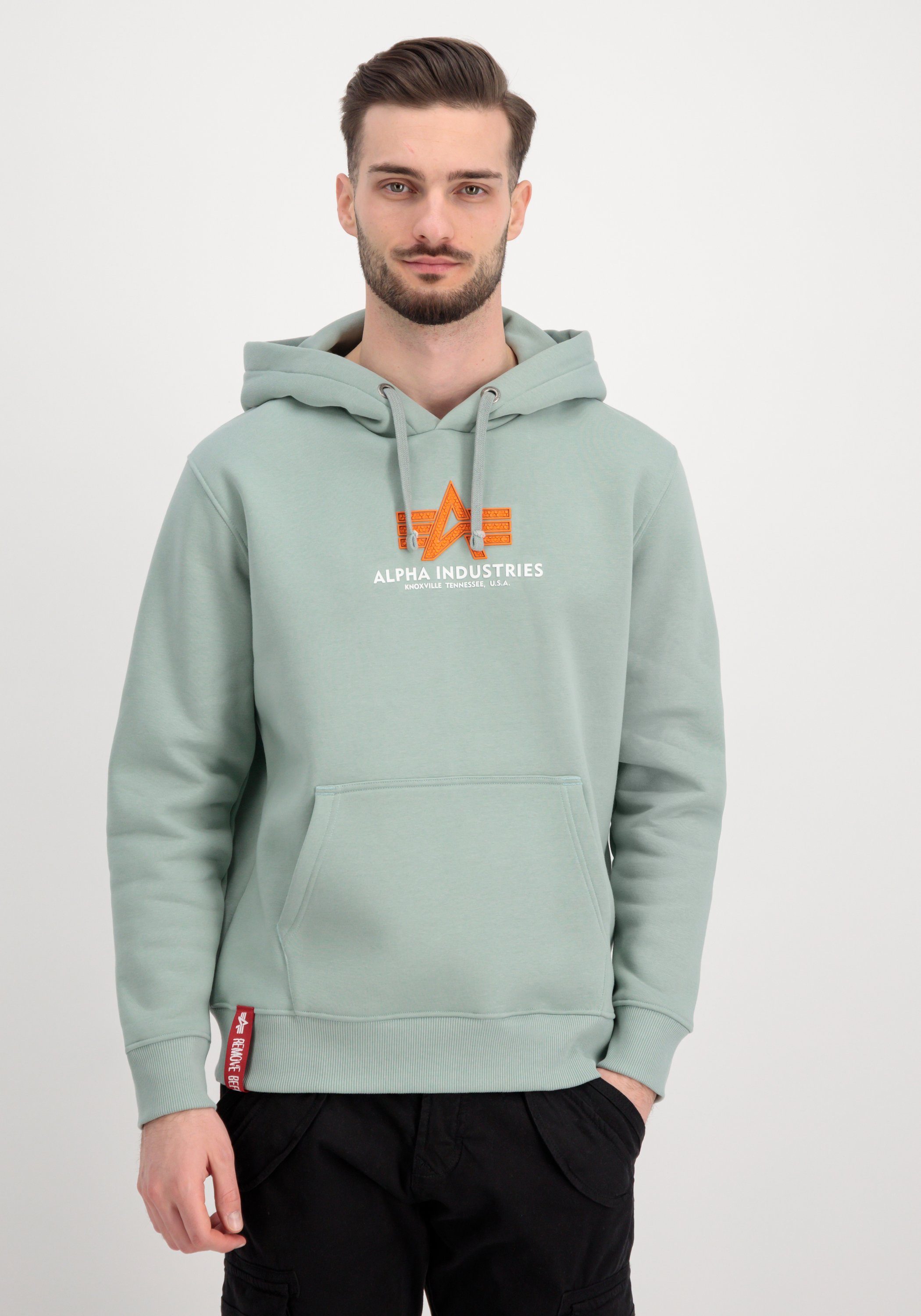 Alpha Industries Hoodie Alpha Industries Basic Men Hoodies Rubber dusty green Hoody 