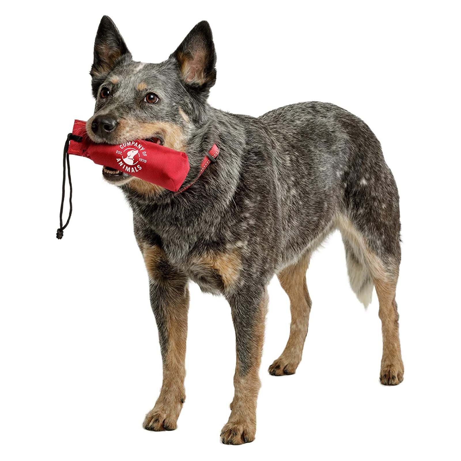 Company of Animals Dummy Hunde Training Dummy Apportierspielzeug Hundespielzeug Wurfspielzeug, Canvasstoff, Mit Schnur Schwimmfähig