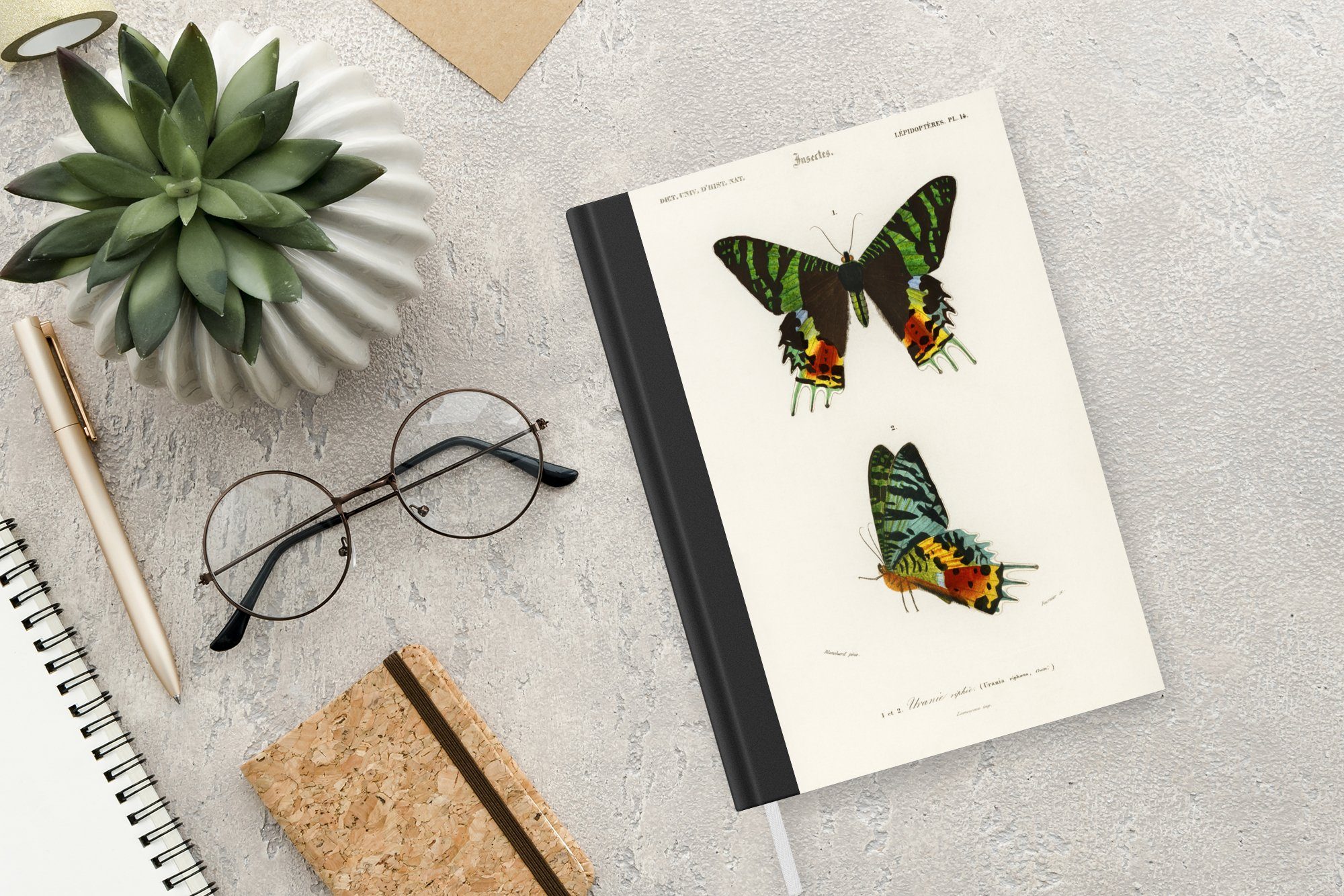 Merkzettel, Seiten, Insekten, - Vintage Schmetterling MuchoWow 98 Haushaltsbuch Tagebuch, Notizheft, A5, Journal, - Notizbuch