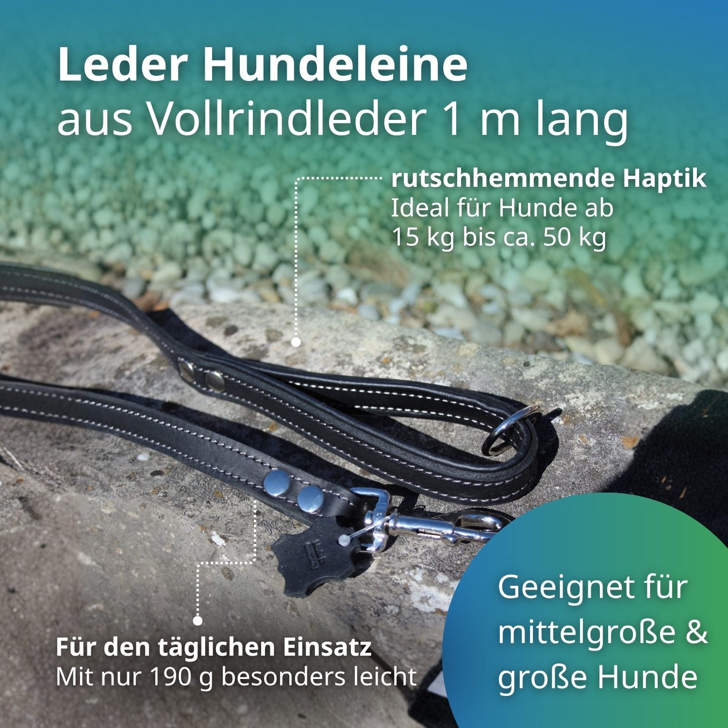 Activity4Dogs Hundeleine für große Hunde Leder, 1m, mit gepolsterter Schlaufe, verschiedene Farben, Made in Germany