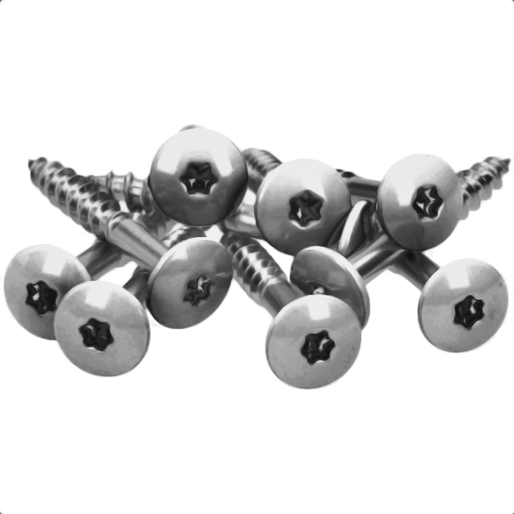 Meisterling® Fassadenschraube INOX, (V2A - 4,8 x 25 mm, Flachkopf Torx T20, 100 Stk), Unlackiert