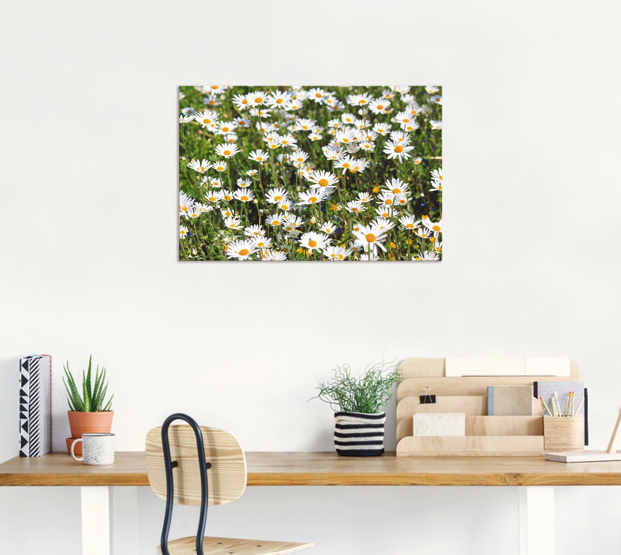 Artland Alu-Dibond-Druck Gänseblümchen, Blumen (1 St), für Innen- und Außenbereich geeignet, Outdoorbild