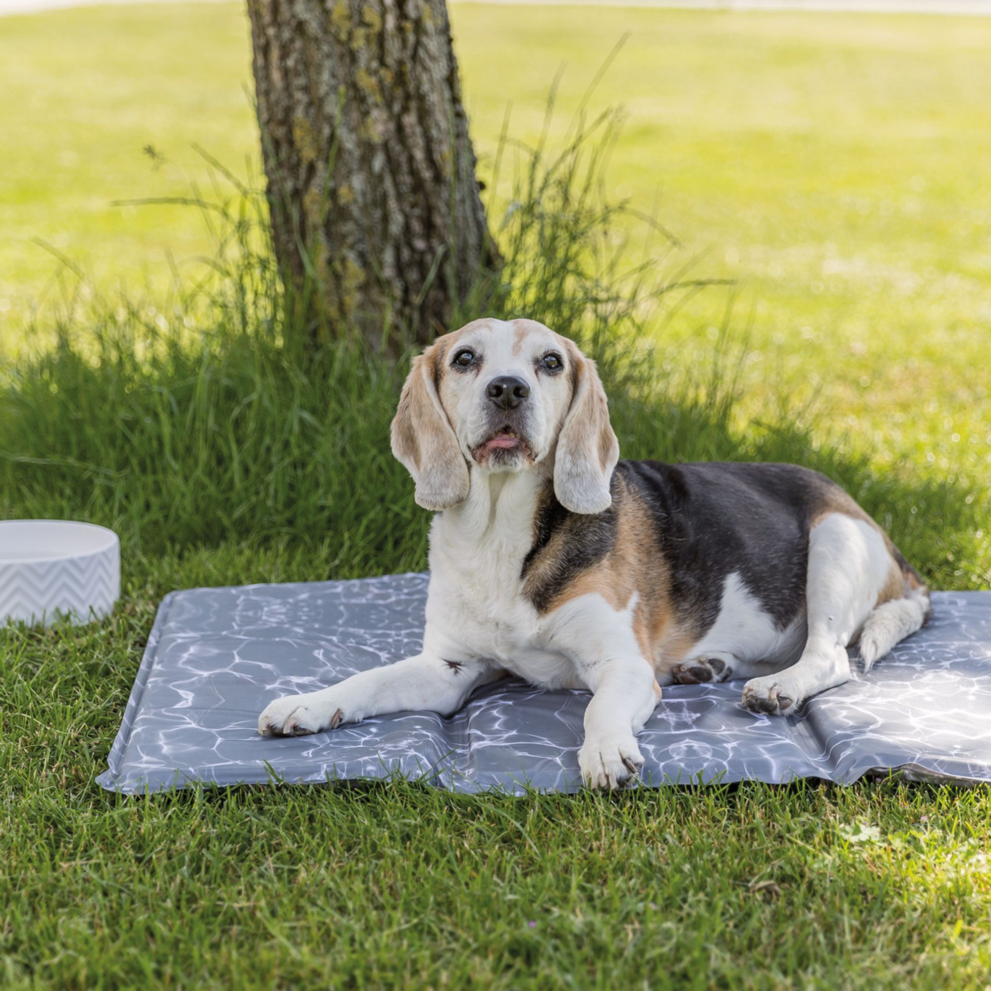 TRIXIE Hundematte Hunde-Kühlmatte Marmor - selbstkühlend, günstig online kaufen