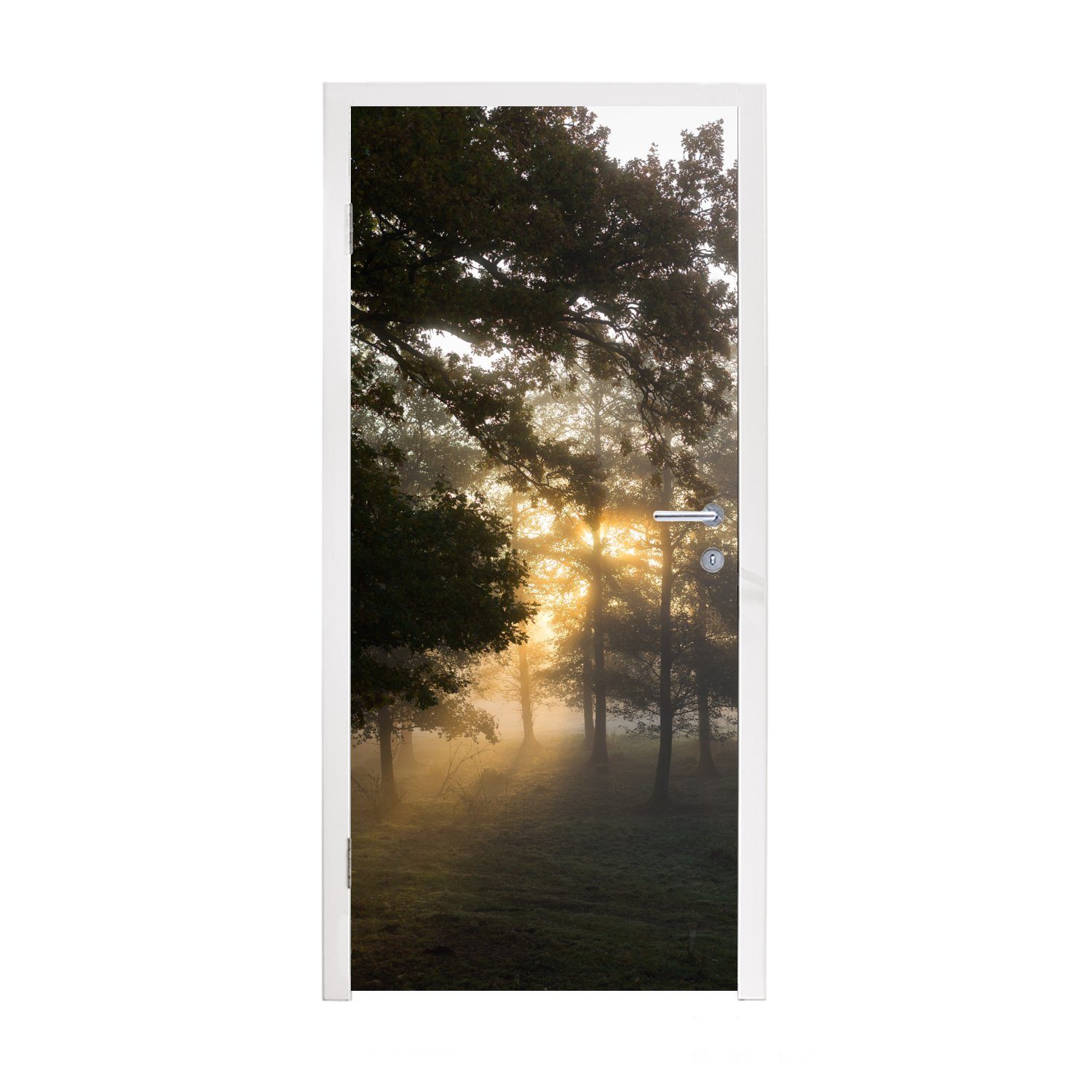 MuchoWow Türtapete Sonnenaufgang im Söderåsen-Nationalpark in Schweden, Matt, bedruckt, (1 St), Fototapete für Tür, Türaufkleber, 75x205 cm