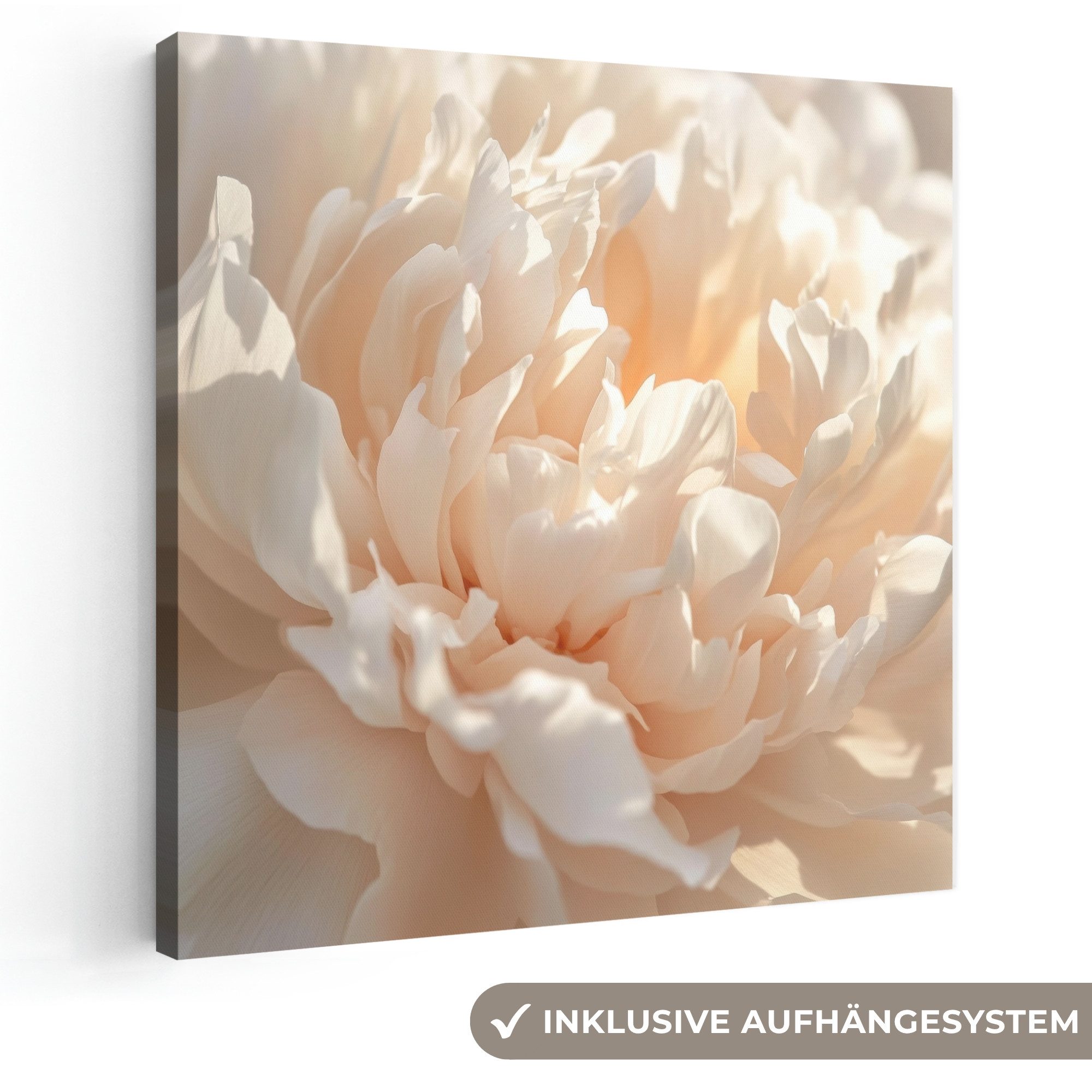OneMillionCanvasses® Leinwandbild Nahaufnahme - Pfingstrose - Hellrosa, Fotodruck (1 St), Wandbild, Deko Schlafzimmer Wohnzimmer Flur 20x20 cm