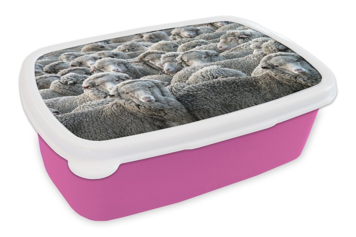 MuchoWow Lunchbox Tiere - Schafe - Schafsfell, Kunststoff, (2-tlg), Brotbox für Erwachsene, Brotdose Kinder, Snackbox, Mädchen, Kunststoff rosa