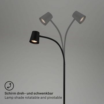 Briloner Leuchten Stehlampe 1476015, LED wechselbar