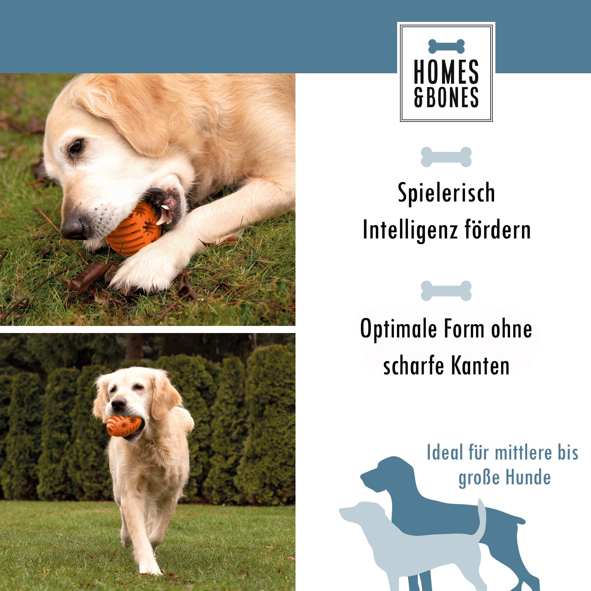 HOMES&BONES Snackball "Doggy Egg", befüllbares Hundespielzeug günstig online kaufen