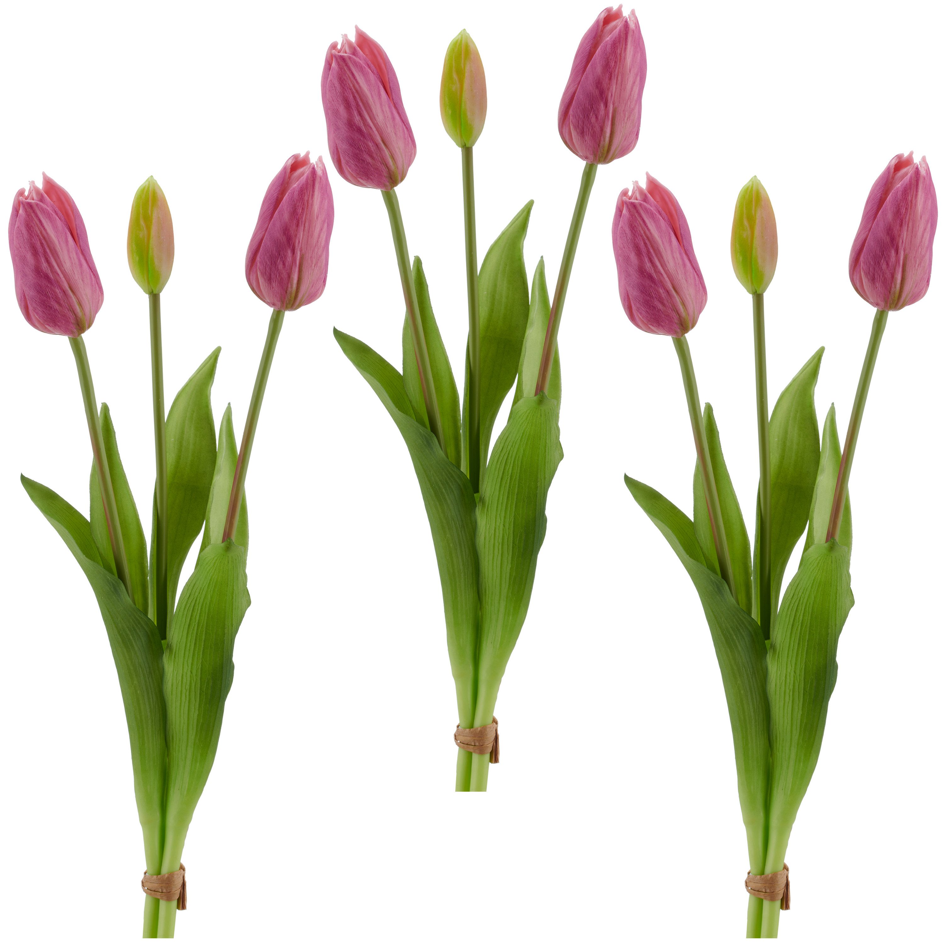 Kunsttulpe Tulpenbund, Creativ green, Höhe 41 cm, in schöner Farbe