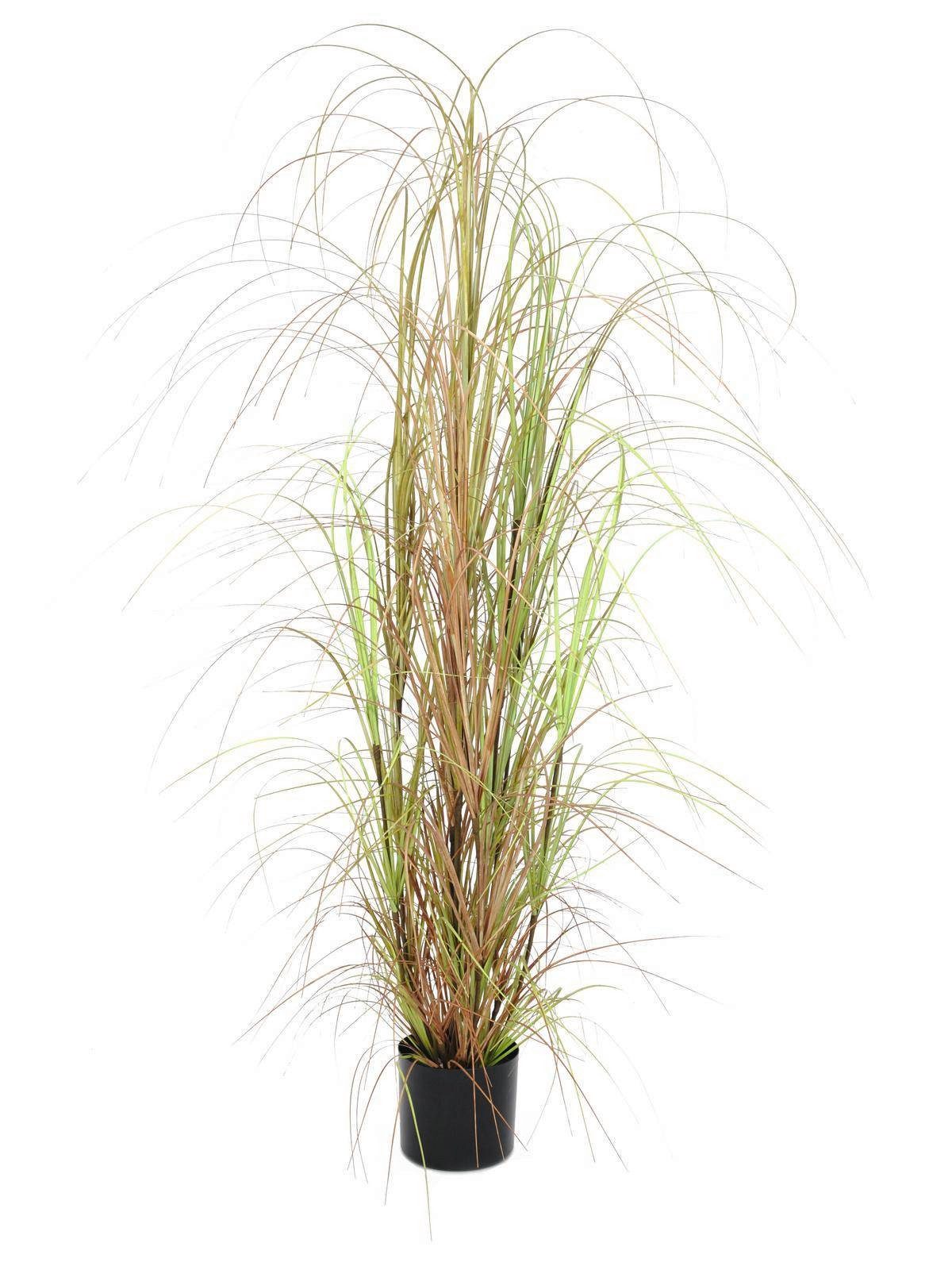 Kunstgras Deko Schilfgras, grün-braun, 150cm - Deko Gras Schilf, artplants, Höhe 150.0 cm