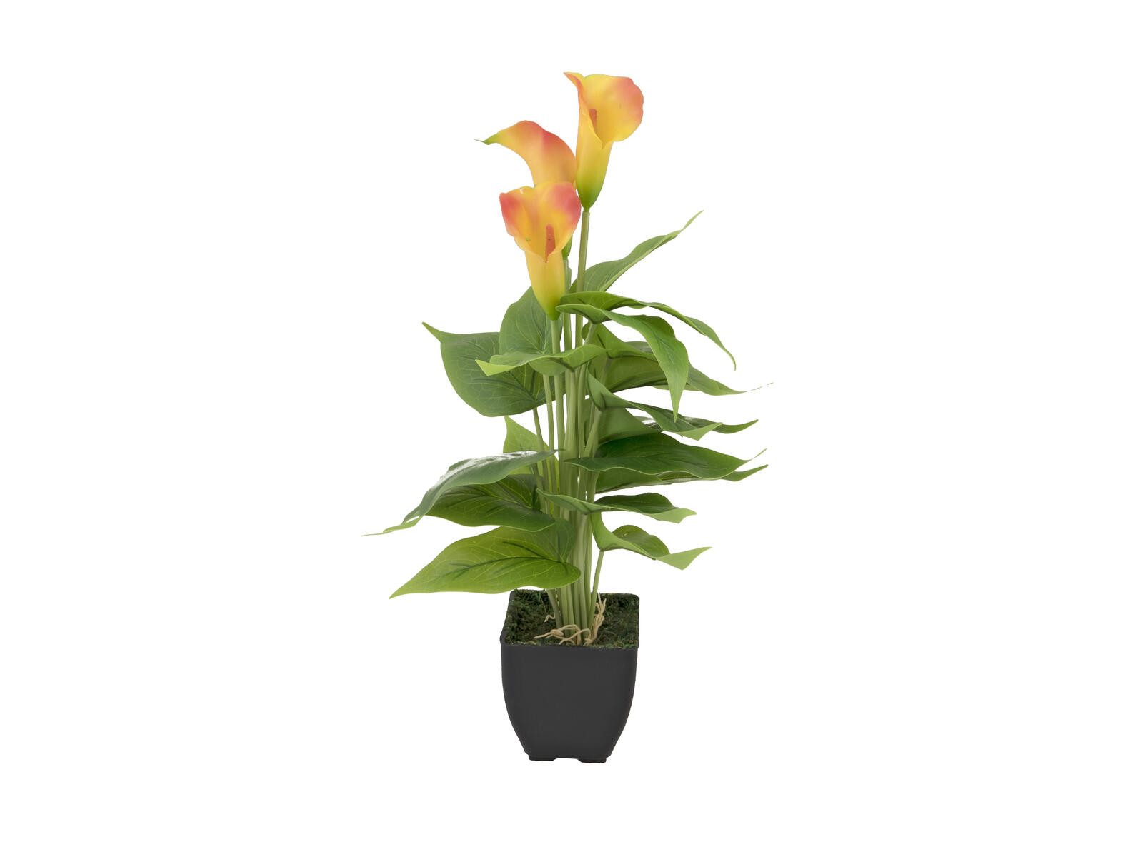 Kunstpflanze EUROPALMS Calla mini, Kunstpflanze, gelb orange, 43cm, EUROPALMS, Höhe 9 cm
