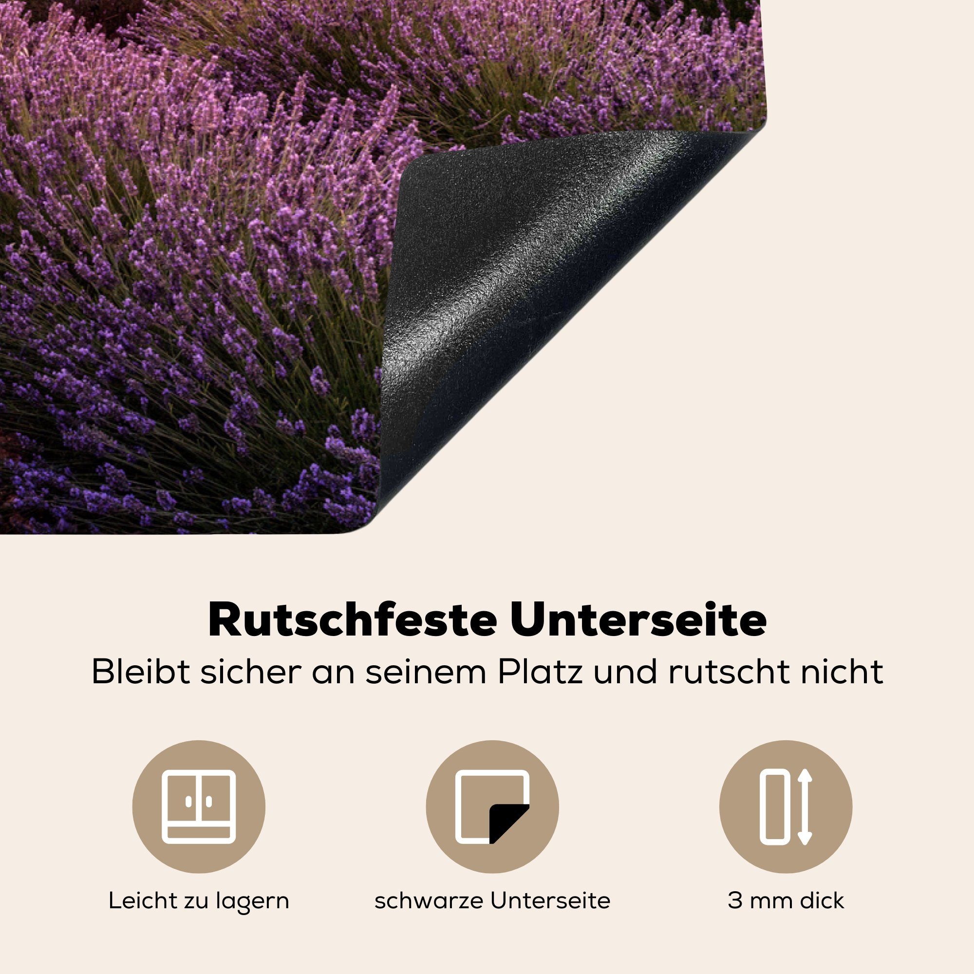 Herdblende-/Abdeckplatte Induktionskochfeld - Haus küche, 81x52 die Vinyl, - tlg), Lavendel Schutz MuchoWow für Frankreich, (1 Ceranfeldabdeckung cm,