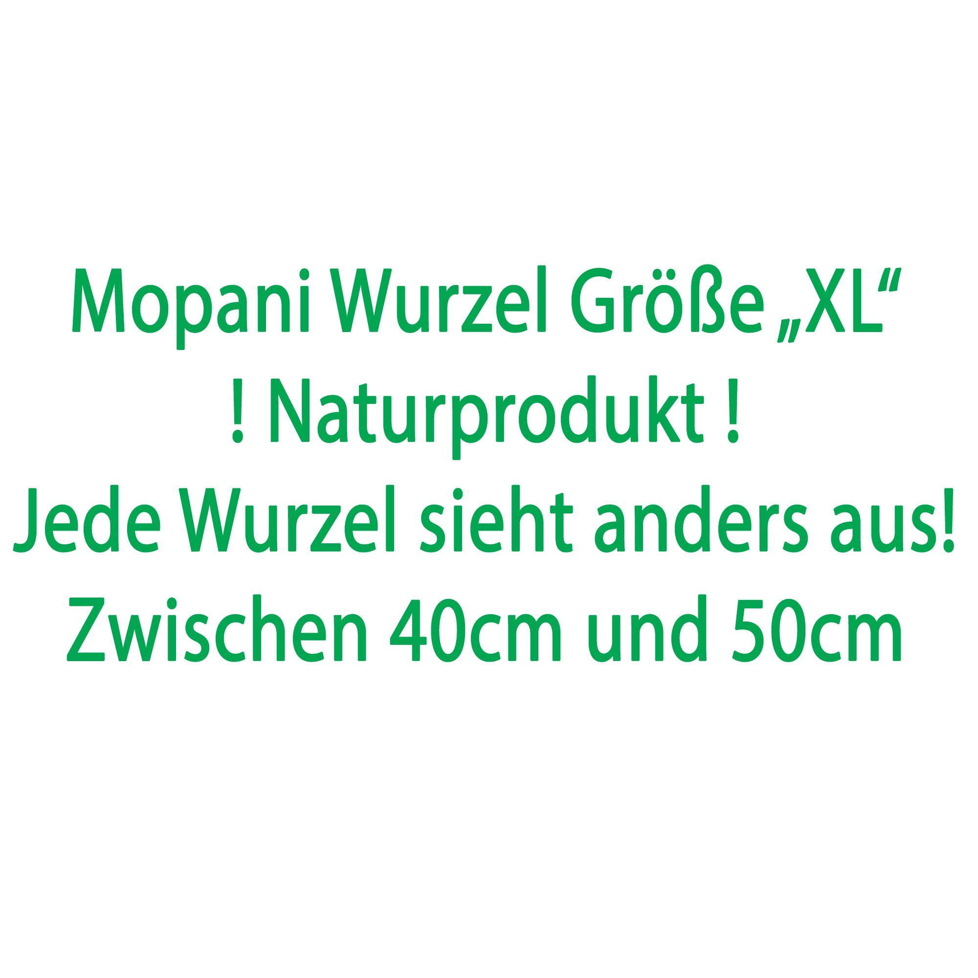 Deggelbam Aquarium Mopani Wurzel Eisenholzwurzel Aquarium versch. Größen S-XL, Echtholzwurzel zur Aquariumdekoration, Aquascaping