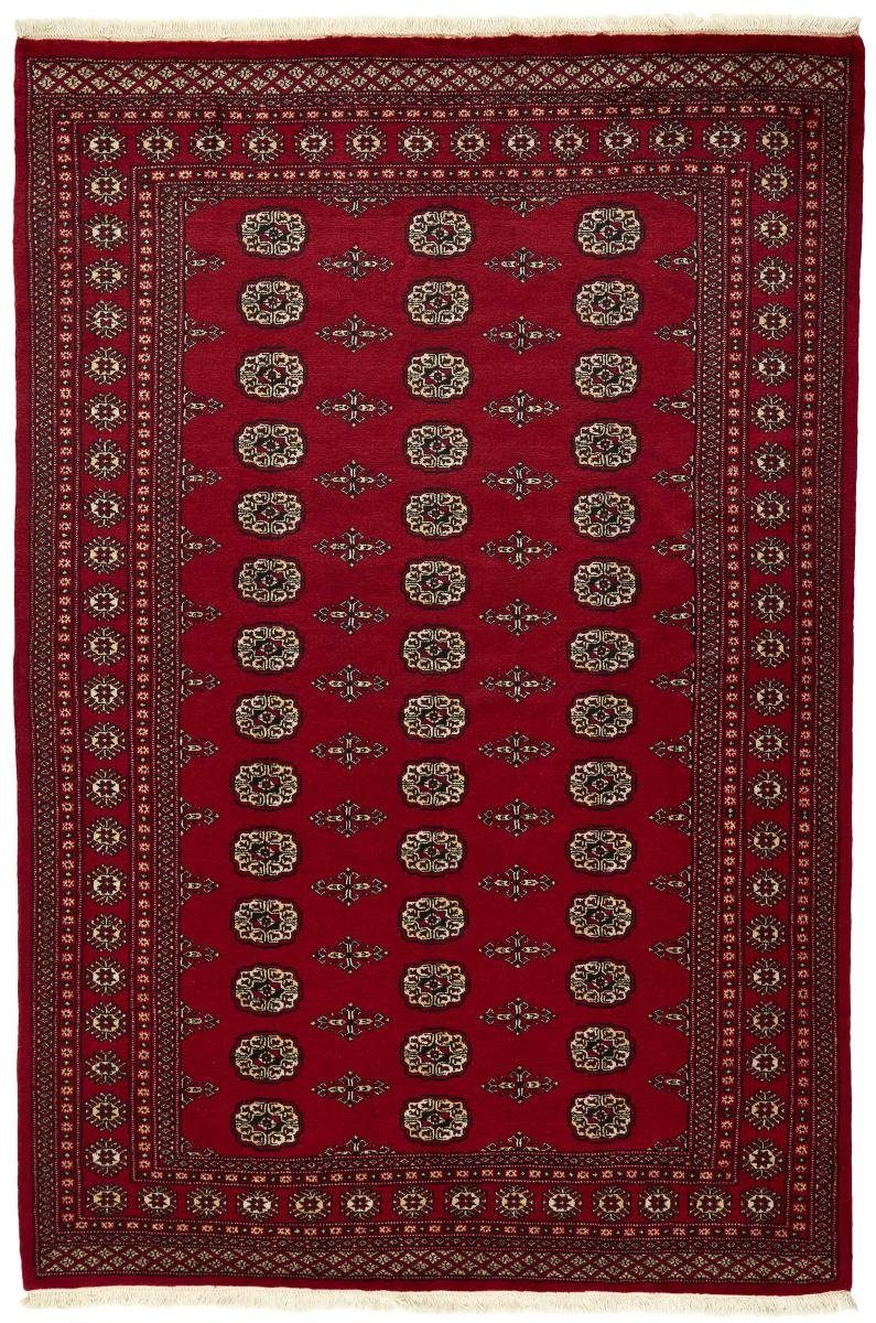Orientteppich Pakistan Buchara 2ply 170x248 Handgeknüpfter Orientteppich, Nain Trading, rechteckig, Höhe: 8 mm