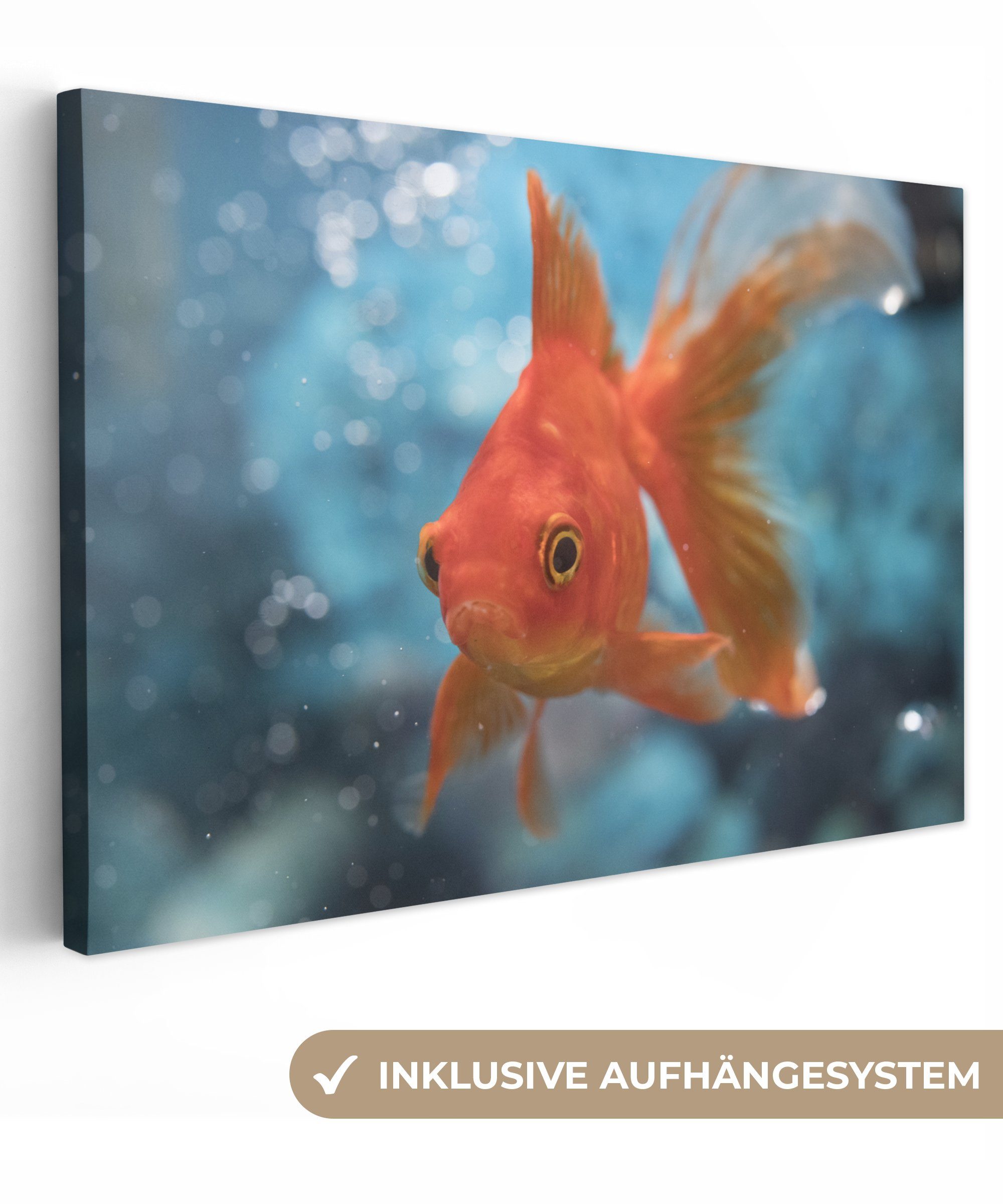OneMillionCanvasses® Leinwandbild Goldfisch - Wasser - Orange, (1 St), Wandbild Leinwandbilder, Aufhängefertig, Wanddeko, 30x20 cm | Leinwandbilder