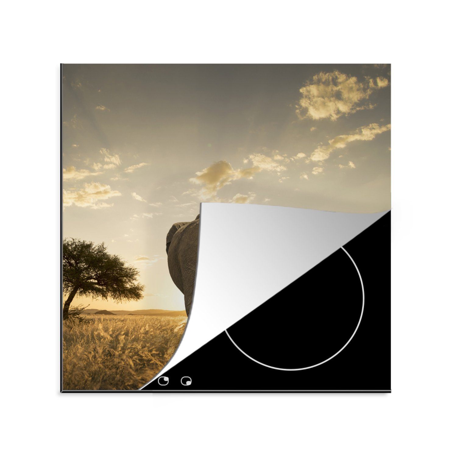 MuchoWow Herdblende-/Abdeckplatte Elefant - Sonne - Safari, Vinyl, (1 tlg), 78x78 cm, Ceranfeldabdeckung, Arbeitsplatte für küche