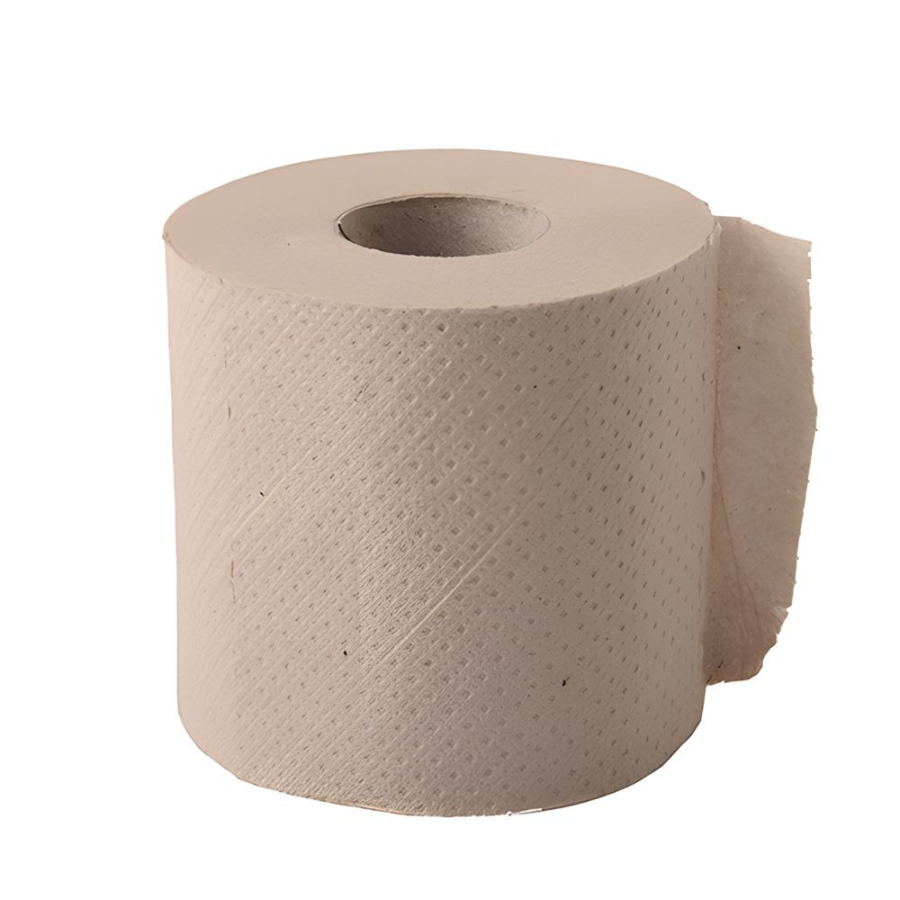 PAPSTAR Toilettenpapier 48x Tissue 10 x 9,5cm hellbraun soft 2-lagig 300 Blatt Recycling