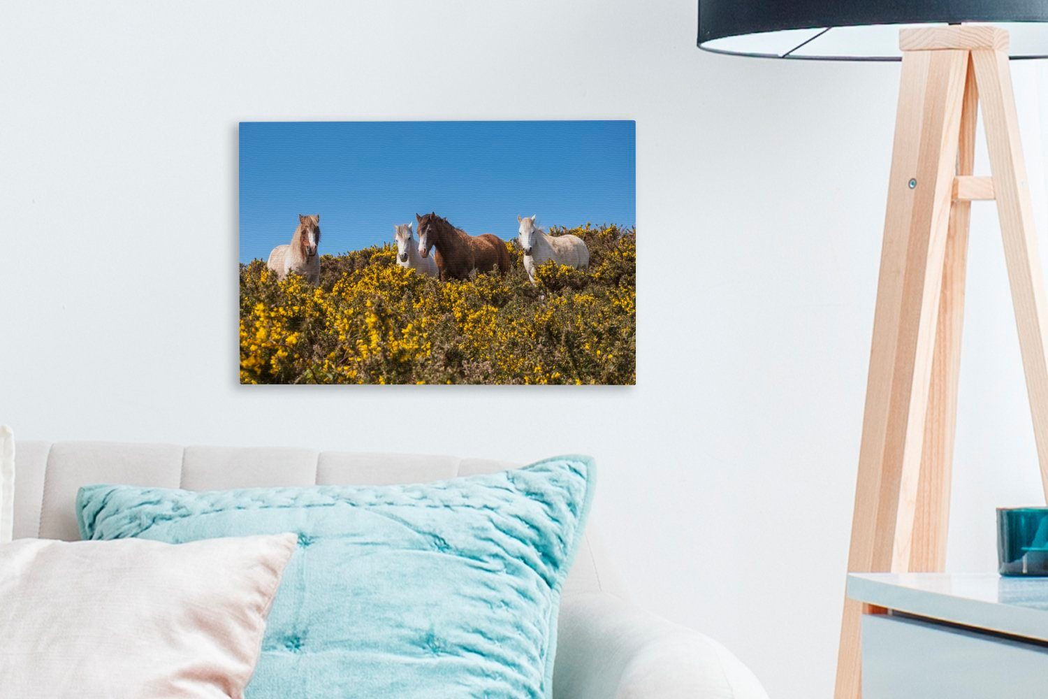 Leinwandbilder, Ponys Leinwandbild im Wanddeko, Pembrokeshire (1 Coast in Wandbild St), National 30x20 Aufhängefertig, cm Park OneMillionCanvasses® England,