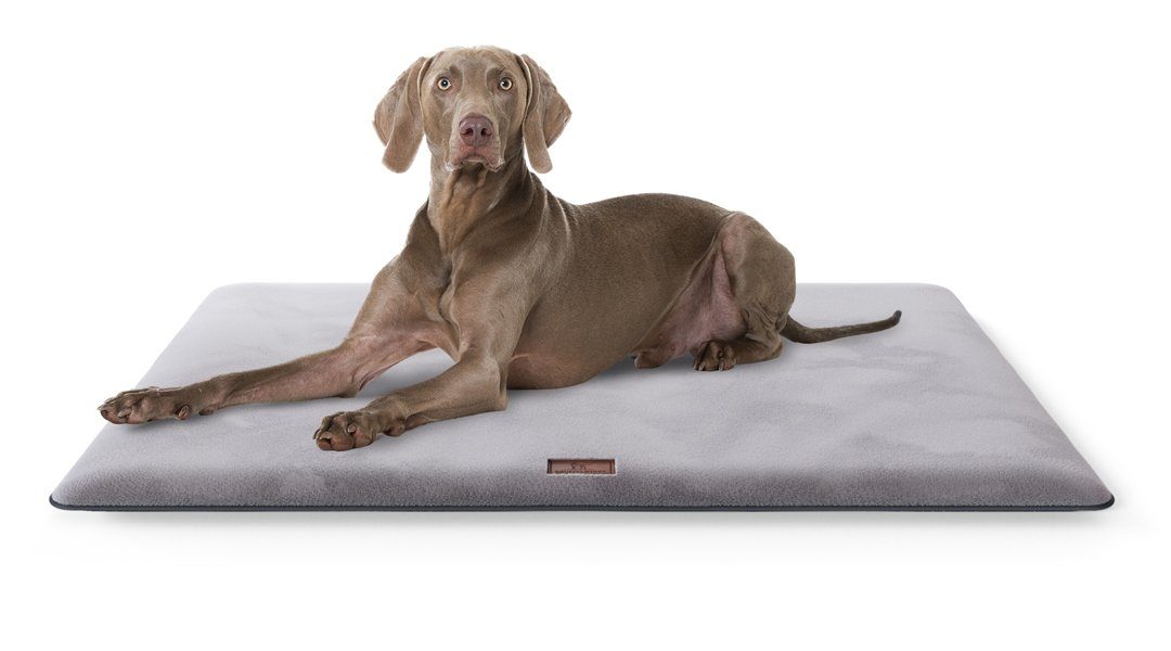 Hundematte Sunport