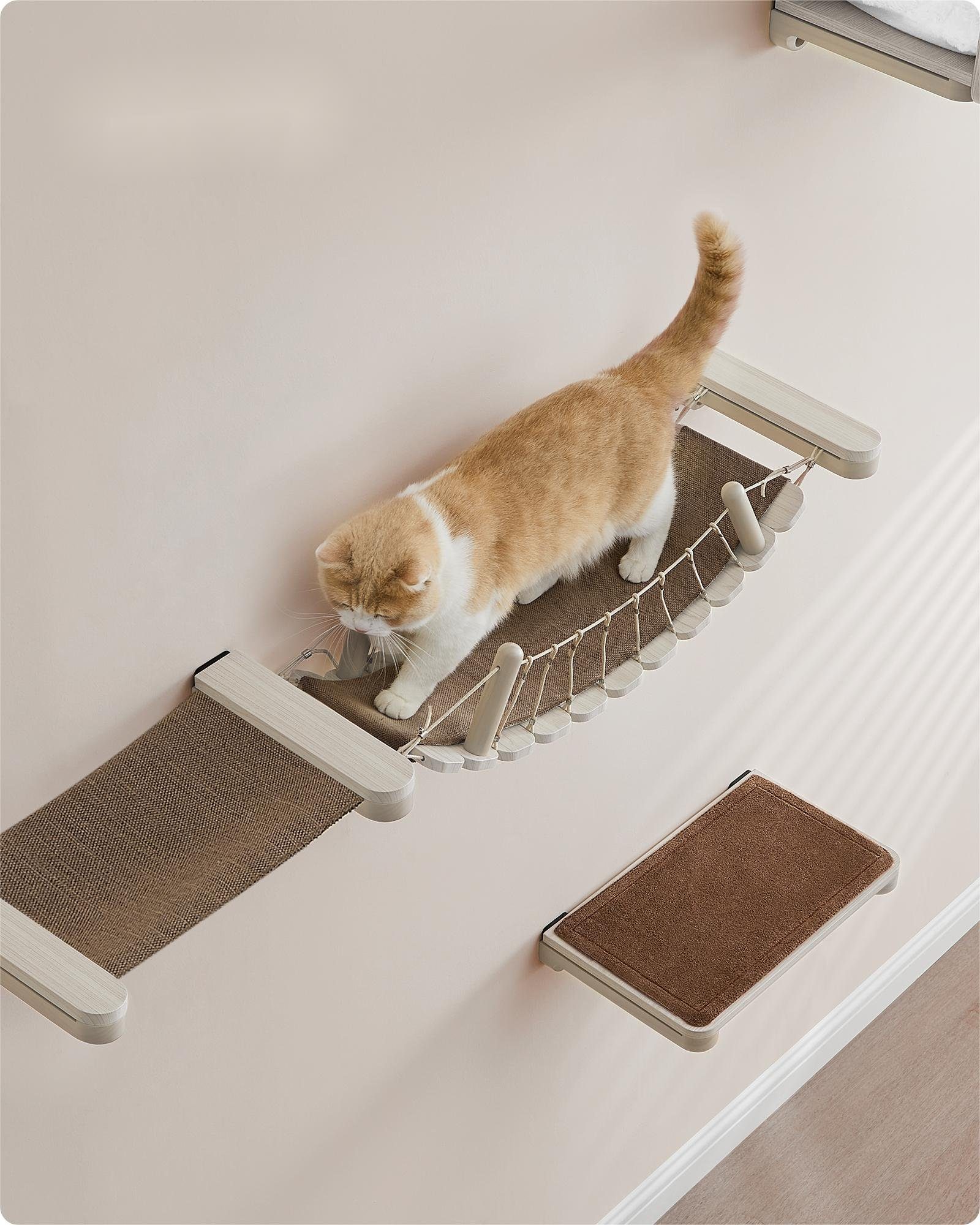 FEANDREA Katzen-Kletterwand, Kratzbaum Clickat Katzenbrücke,Katzenregal,Kat günstig online kaufen