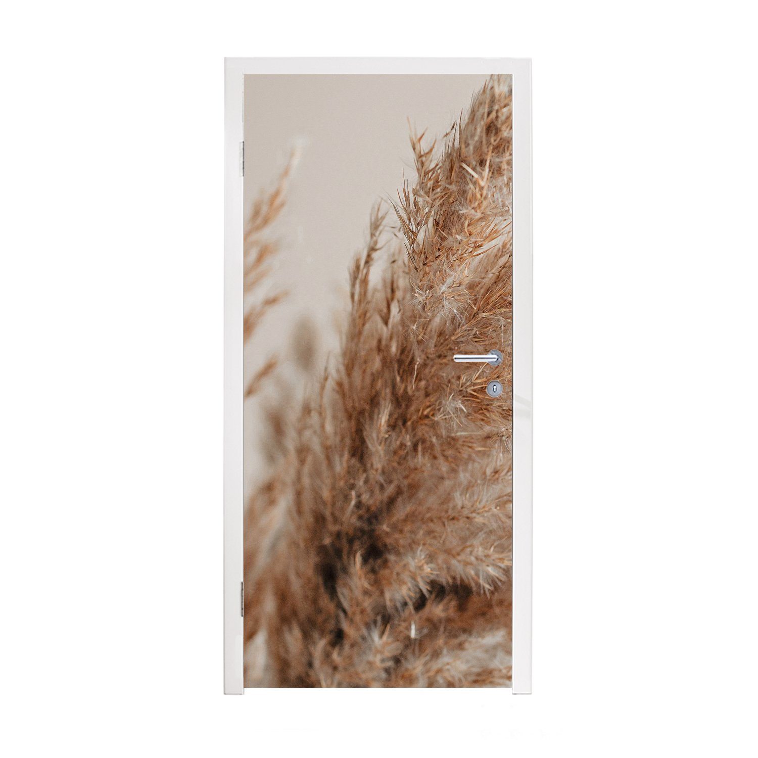 Pampasgras, Tür, bedruckt, Gras - St), - Türtapete für MuchoWow cm 75x205 - (1 Natur Türaufkleber, Pflanzen Fototapete Matt,