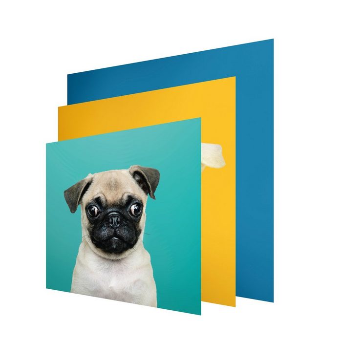 FanPunkt Bild Beagle Mops Jack Russel UV Direktdruck Hunde 3 Bezüge für Informa LED-Bilderrahmen 49 x 49 cm