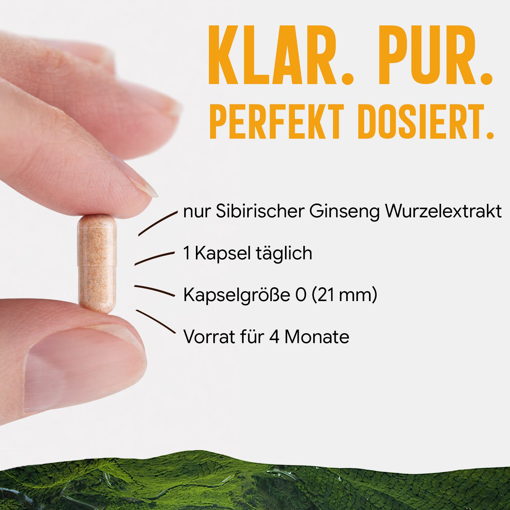 Dorado Superfoods Sibirischer Ginseng Kapseln – 460 mg Wurzelextrakt, 120 Stück Kapseln, 120 St., 67.2 g